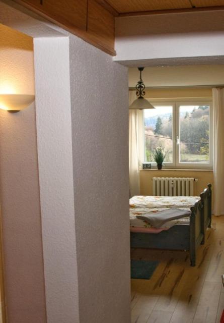 Ferienwohnung Wolf Gräfenroda المظهر الخارجي الصورة
